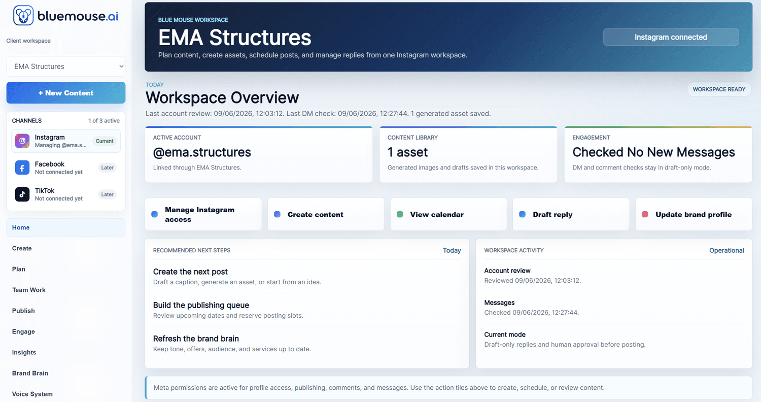 BlueMouse social media workspace showing the EMA Structures Instagram overview with content library, engagement, and recommended next steps.